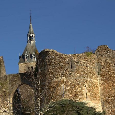 Gite "La Mesangerie" Villa Château-Renard Exterior photo