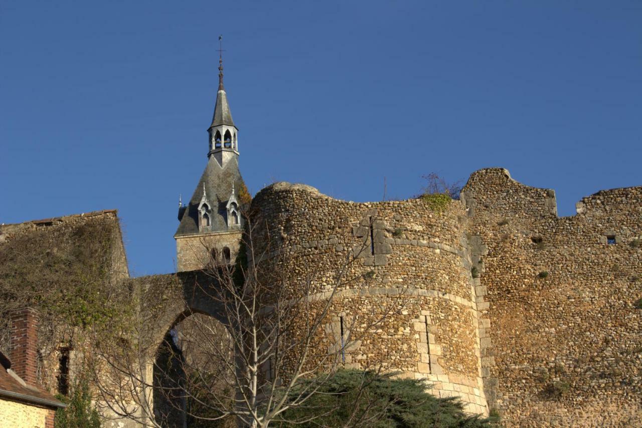 Gite "La Mesangerie" Villa Château-Renard Exterior photo